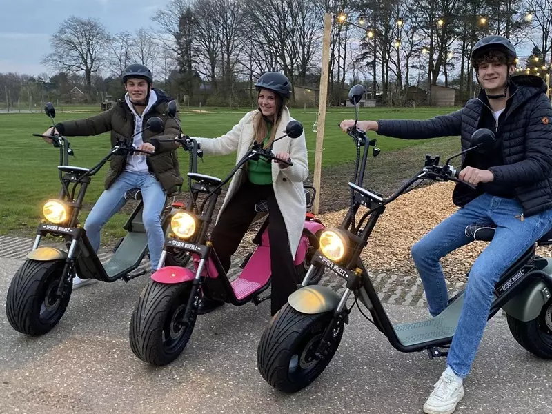 E-Chopper tour Vechtdal